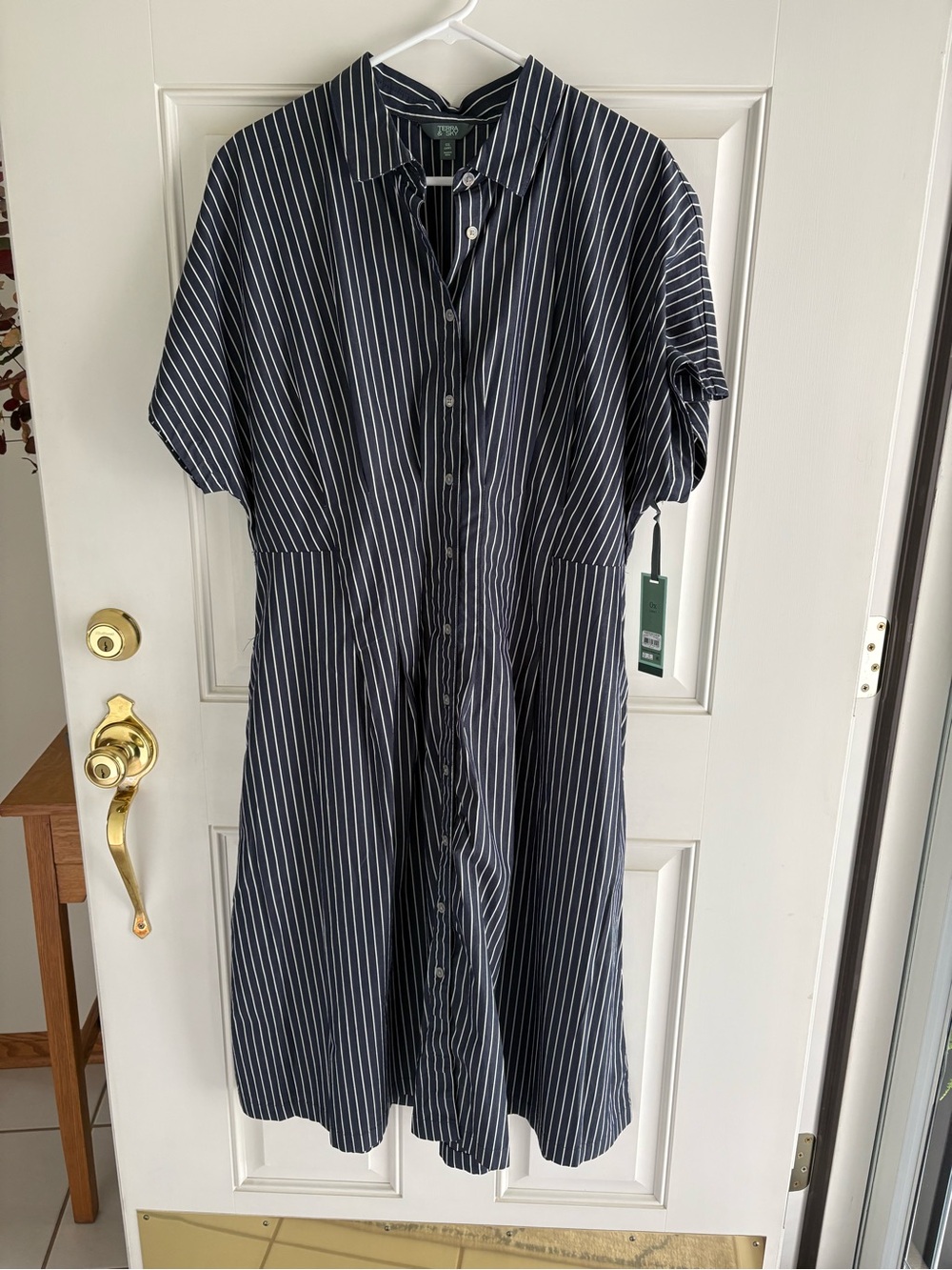 Button-Front Navy Stripe Shirt Dress